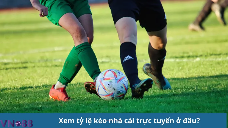 Tỷ lệ kèo nhà cái trực tuyến